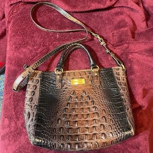Medium Brahmin Asher - Brown